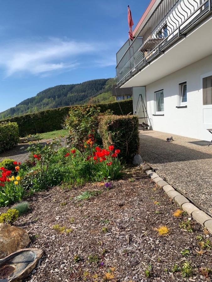 Fewo Moselblick Traben-Trarbach Exteriér fotografie