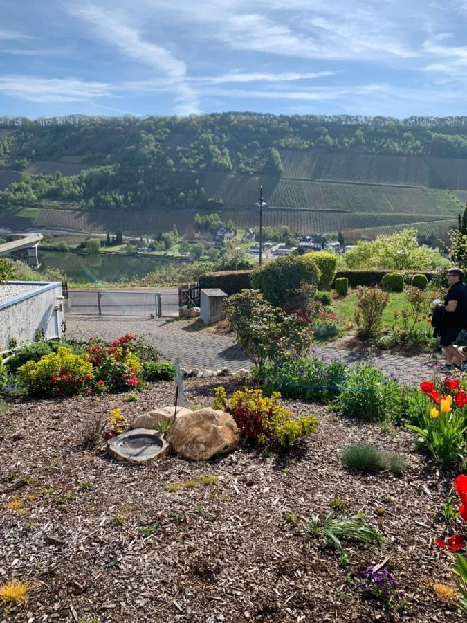Fewo Moselblick Traben-Trarbach Exteriér fotografie